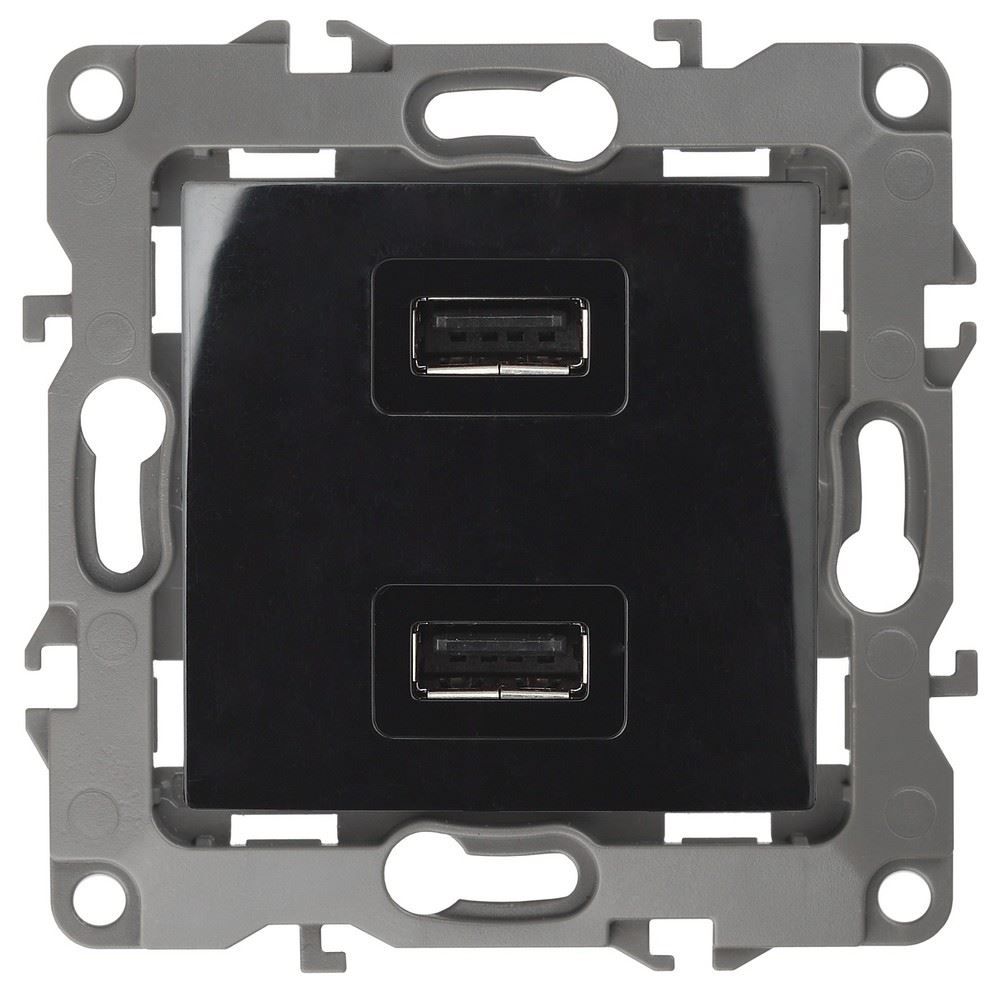ЭРА 12-4110-06  Устройство зарядное USB, 230В/5В-2100мА, IP20, 12, чёрный (6/60/1920)