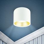 ЭРА OL8 GX53 WH/GD алюминий, цвет белый+золото св-к настенно-потолочный спот