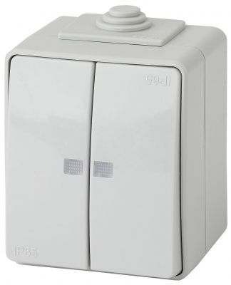 ЭРА 11-1605-03  Выключатель двойной с подсветкой IP65, 10АХ-250В, ОУ,  Эксперт, серый (10/100/1600