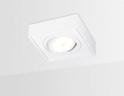 Ambrella  TN154 WH белый GU5.3 96*96*50 точечный поворотный светильник