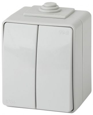 ЭРА 11-1604-03  Выключатель двойной IP65, 10АХ-250В, ОУ,  Эксперт, серый (10/100/1600)