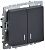 IEK BRITE BR-V20-1-10-K53 Выключатель 2-клавишный с индикацией 10А ВС10-2-1-БрГ графит (1 / 10 / 100)