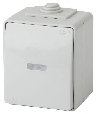 ЭРА 11-1610-03  Переключатель с подсветкой IP65, 10АХ-250В, ОУ,  Эксперт, серый (10/100/1600)
