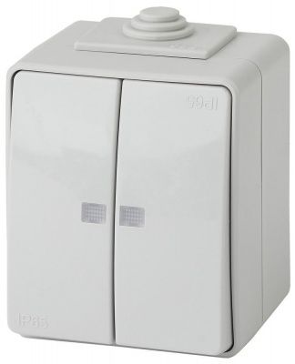ЭРА 11-1605-03  Выключатель двойной с подсветкой IP65, 10АХ-250В, ОУ,  Эксперт, серый (10/100/1600