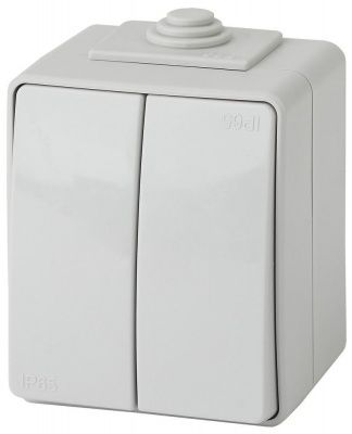 ЭРА 11-1604-03  Выключатель двойной IP65, 10АХ-250В, ОУ,  Эксперт, серый (10/100/1600)