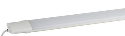 ЭРА SPP-3-40-6K-M  Светодиод. св-к IP65 1262х75х35  6500К матовый (10/210)