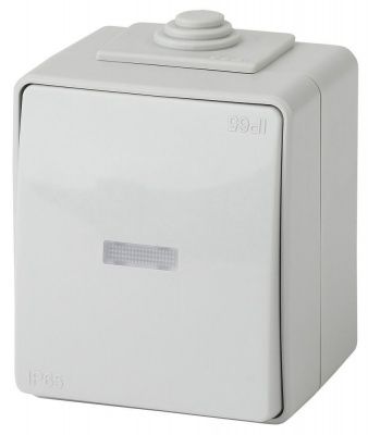 ЭРА 11-1610-03  Переключатель с подсветкой IP65, 10АХ-250В, ОУ,  Эксперт, серый (10/100/1600)